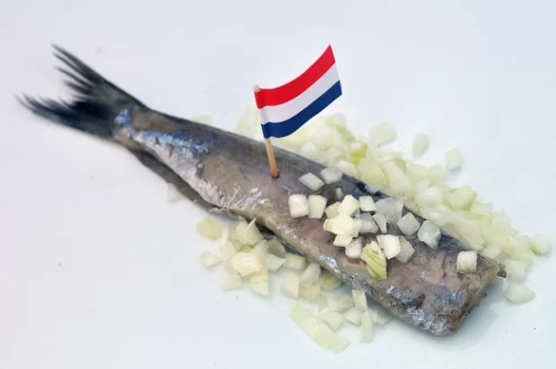 Haringparty OV IJzendijke