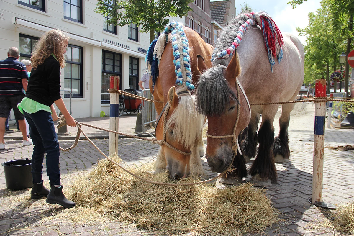 Goed bezochte Folkloristische dag