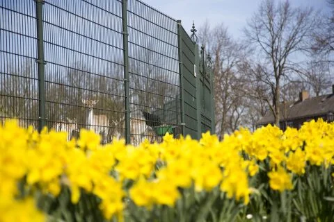 De lente is begonnen